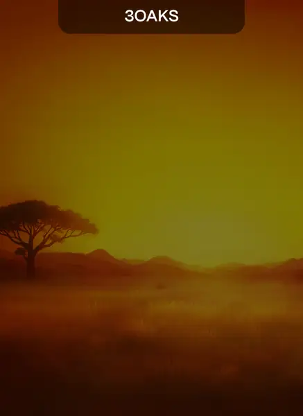 4 African Drums
